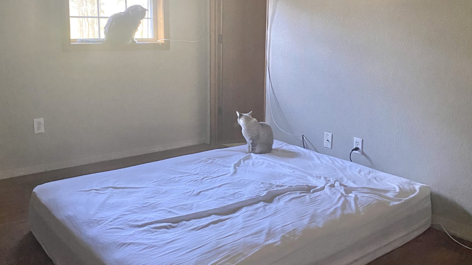 Rooms with mattress on the floor store